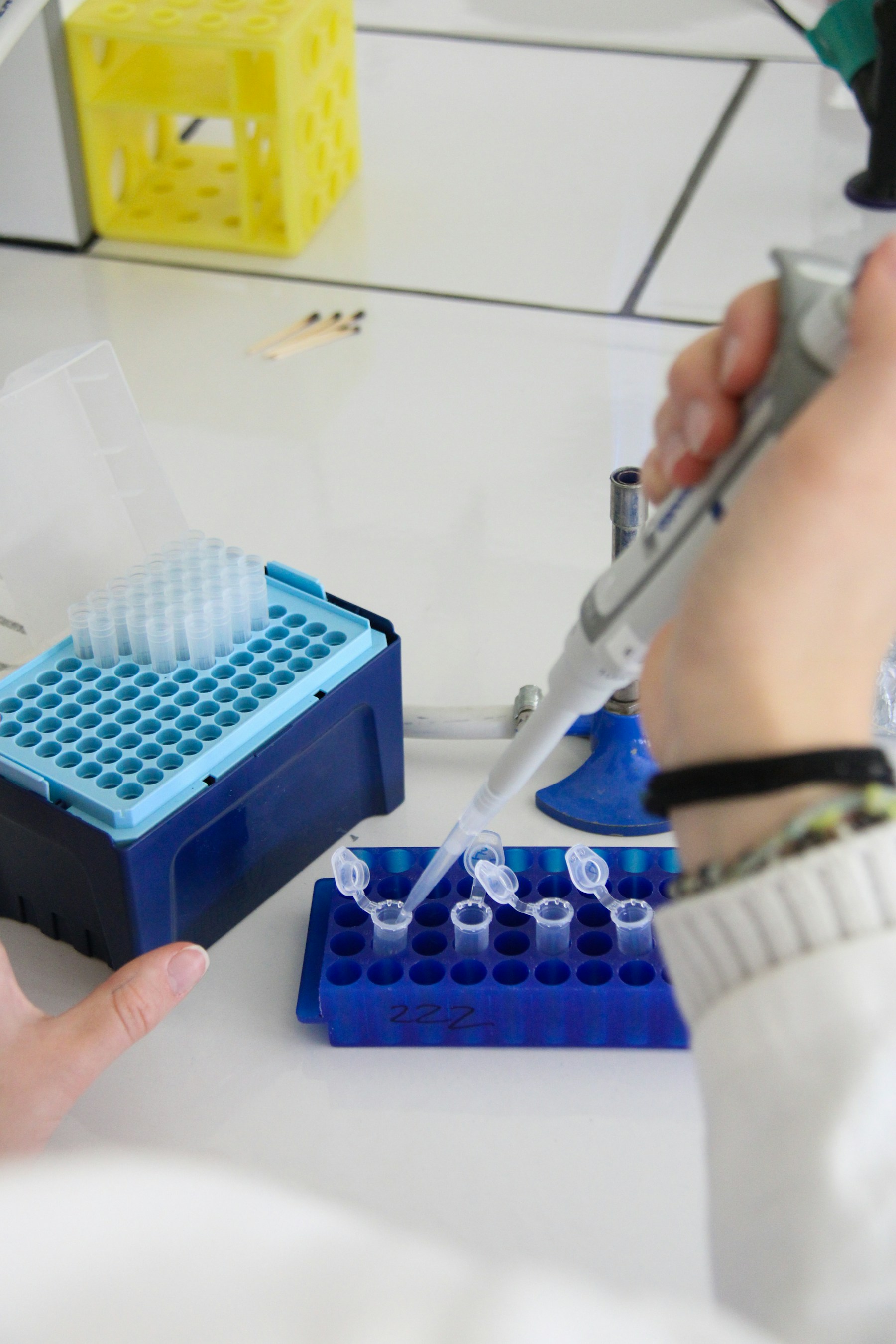 Close-up of pipetting equipment, illustrative laboratory image