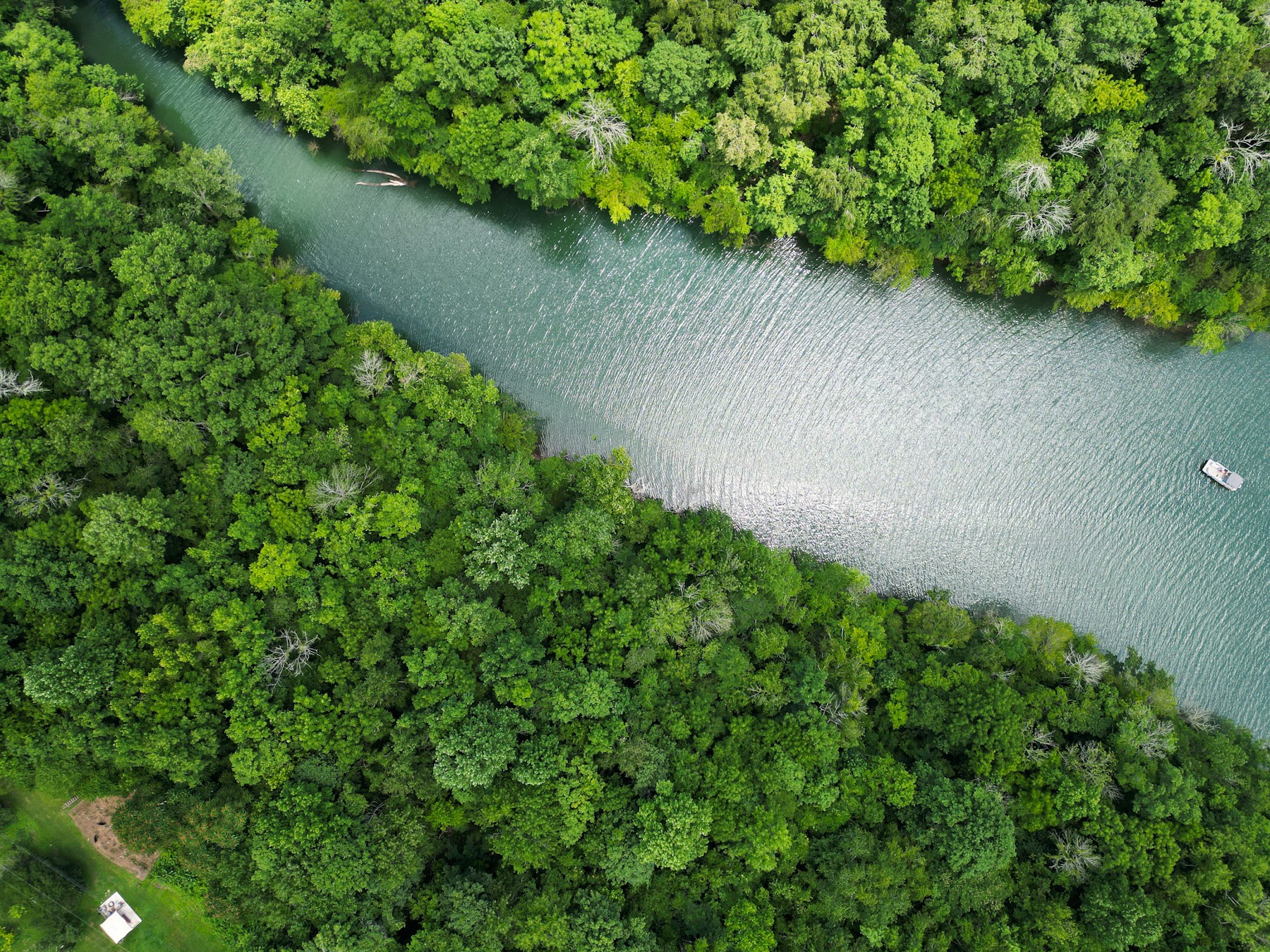 A river winding through a forest, illustrating water and environmental testing
